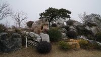 下塘河公園